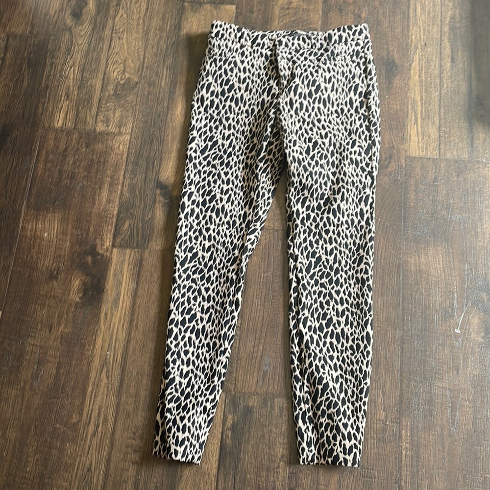 Dress pants